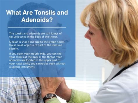 Tonsils And Adenoids Functions Common Problems And Treatments