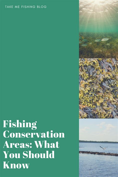 Fishing Conservation Areas What You Should Know Conservation