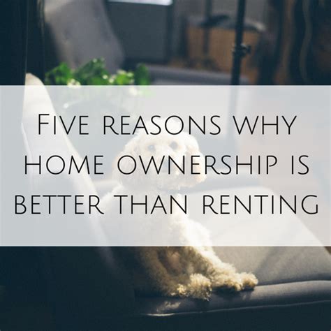 Five Reasons Why Home Ownership Is Better Than Renting My Money Cottage