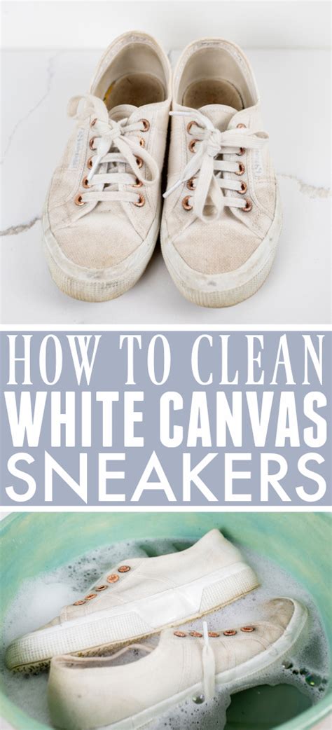 clean white canvas sneakers  creek  house