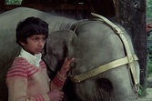 Anoop and the Elephant (1972) – rarefilmm | The Cave of Forgotten Films
