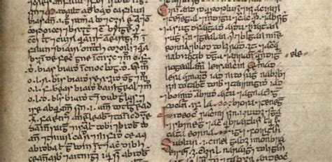 Lost Irish Words Rediscovered Including The Word For ‘oozes Pus