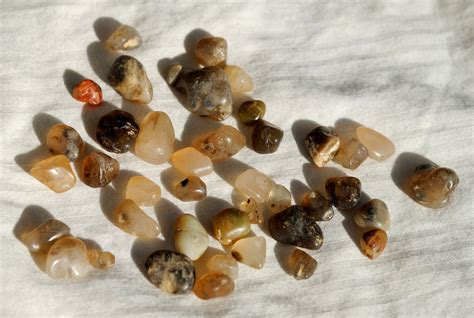 Where To Find Oregon Agates Plus Tips For Finding Them Oregon Coast