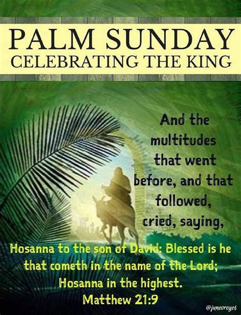 Palm Sunday Celebrating The King Pictures Photos And Images For