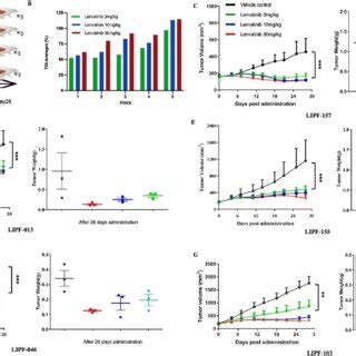 Lenvatinib Exhibits Effective Antitumor Activity In Icc Pdx Models A Download Scientific