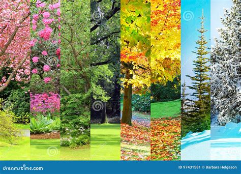 Winter Spring Summer Fall Stock Photos Download 14097 Royalty Free