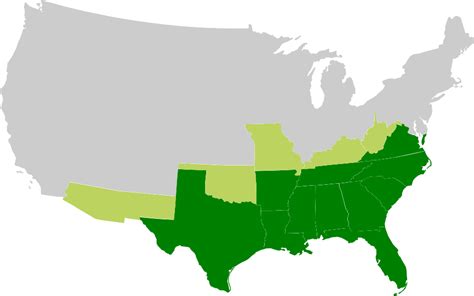 Fileconfederate States Of Americasvg Wikimedia Commons
