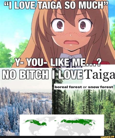Taiga Memes Best Collection Of Funny Taiga Pictures On Ifunny