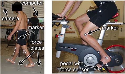 Motion Analysis And Inverse Dynamics Of Knee Joint Biomechanics Human Motion Biomechanics Lab