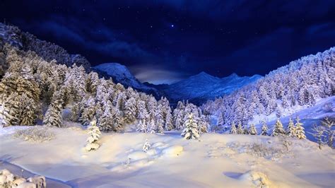 Wallpaper Winter Night Mountains Stars Snow Forest Trees 1920x1200