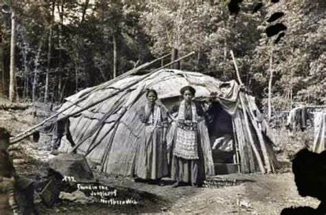 Ojibwa Indians Wigwam In Northern Wisconsin 1908 In Honor Of The
