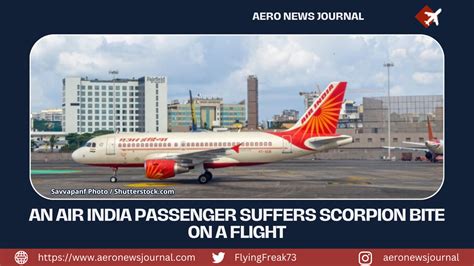 An Air India Passenger Suffers Scorpion Bite On A Flight