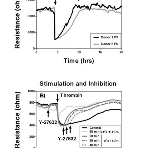 Pdf Electric Cell Substrate Impedance Sensing For The Quantification