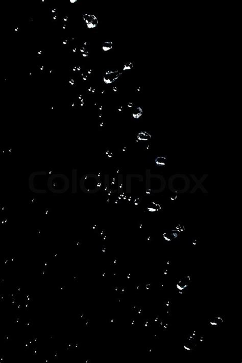 Rain Drops On A Black Background Stock Photo Colourbox