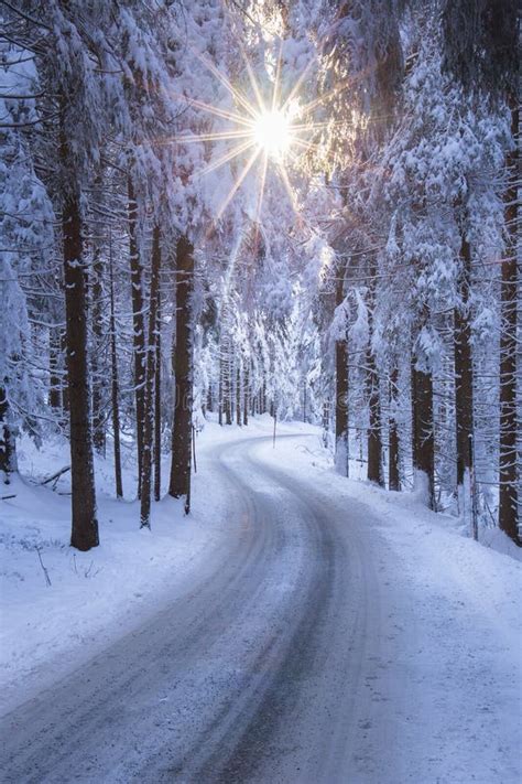 Curved Road In A Snowy Forest Stock Photo Image Of Snowy Path 207286756