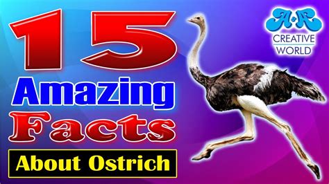 15 Amazing Facts About Ostrich Ostrich Facts National Geographic