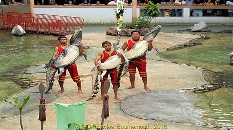 Zoological society of london online library. Samut Prakan Crocodile Farm and Zoo, Moo 7,Tambon Thai Ban ...