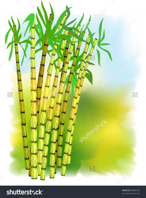Sugar Cane Clipart 20 Free Cliparts Download Images On