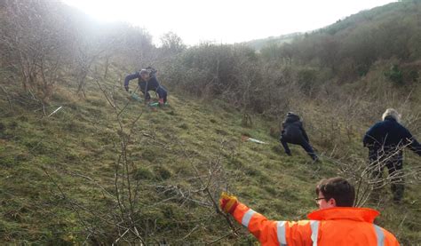 South West Chilterns Rangers Young People Conservation Laf Project 2018