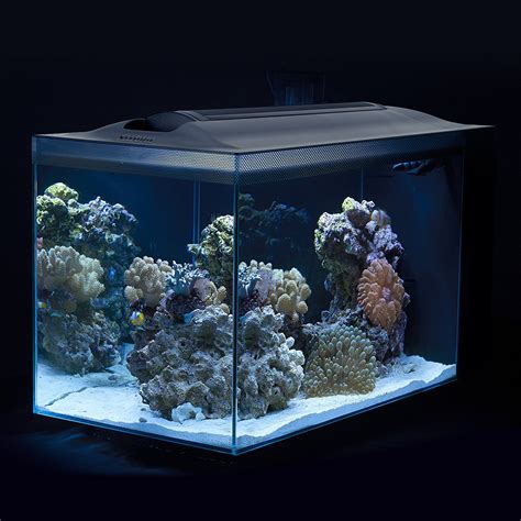 Best Nano Reef Fish Tanks And Aquariums 2019 Aquarium Edge