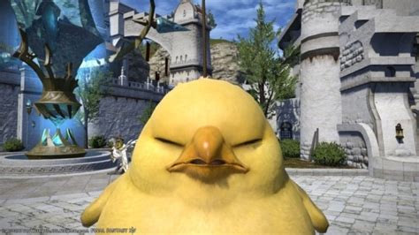 How To Get The Fat Chocobo Mount In Final Fantasy Xiv Online Pro Game Guides