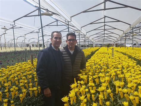 Floricultores Esperan Exportar Millones De Tallos En San Valent N