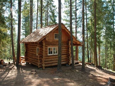 Cabin Owl And Tiny Cabins On Pinterest Cabins Small Log Cabin Log