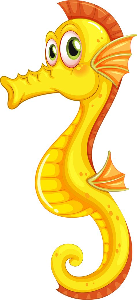 Browse and download hd png images with transparent background for free. Seahorse PNG