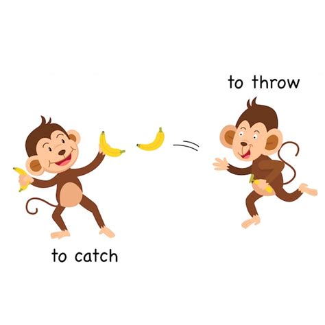 Opposite To Catch And To Throw Illustration Premium Vector