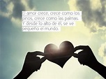 Descubrir 70+ imagen frases unicas de amor - Viaterra.mx