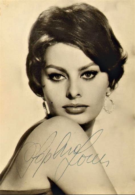 Sophia Lauren Actrice Italienne Actrice Hollywoodienne Sophia Loren