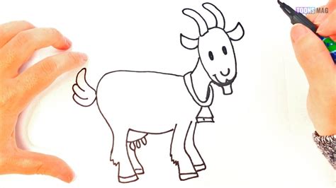 How To Draw A Goat Easy Tutorial Toons Mag