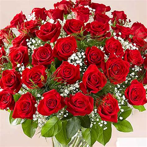 Online Bunch Of 50 Scarlet Roses T Delivery In Uae Ferns N Petals