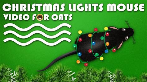 Mouse and cat is not currently available on primarygames. CAT GAMES - Christmas Lights Mouse! Mice Video for Cats to ...