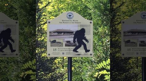Shots Fired Near Mammoth Cave Campsite After Alleged Bigfoot Encounter
