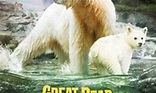 Great Bear Rainforest: Land of the Spirit Bear - Where to Watch and ...