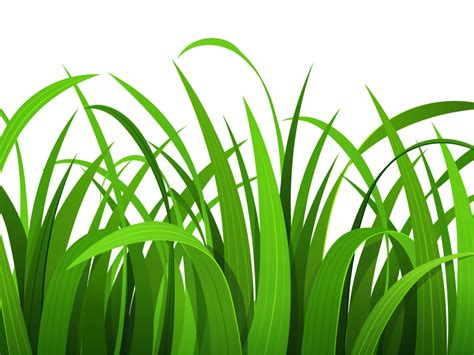 Free Cliparts Grass Border Download Free Cliparts Grass Border Png