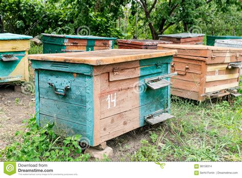 An meinem küchenfenster befindet sich ein bienennest. Bienenstock - Das Haus Von Bienen Im Busen Der Natur ...