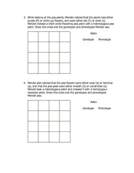A punnett square is a visual representation of how alleles (i.e. Dihybrid Punnett Square Quiz by Goby's Lessons | TpT