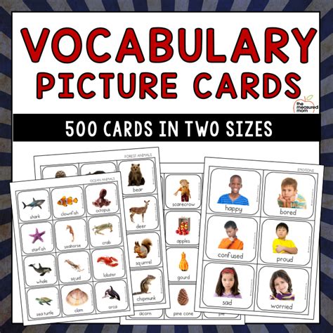 500 Vocabulary Picture Cards The Measured Mom