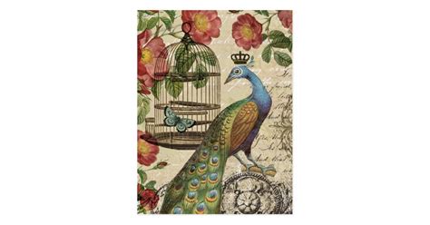 Modern Vintage French Peacock Postcard