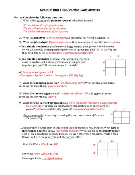 You be the judge worksheet answer key. Genetics Practice Problems Worksheet Answers — excelguider.com