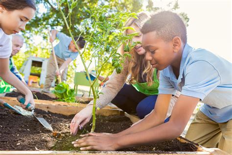 6 Volunteering Activities To Help Kids Build A Better World