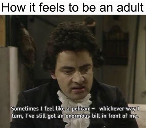 Life As An Adult Rmemes