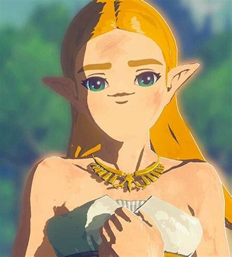 Derpy Legend Of Zelda Characters Zelda Amino
