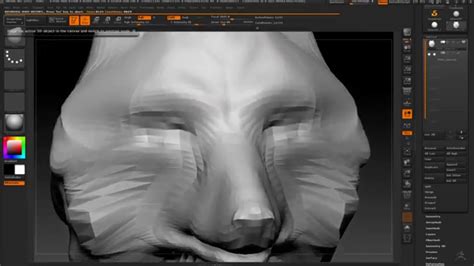 Wolf Head In Zbrush Speed Sculpting Low Poly Modeling Youtube