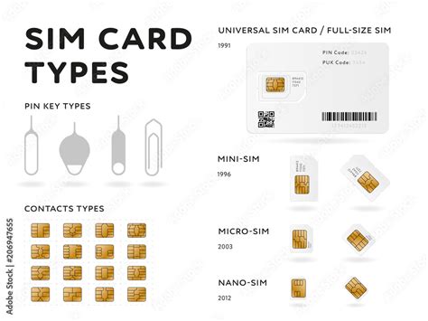 Various Sim Card Types Infographics In Flat Style Minisim Microsim