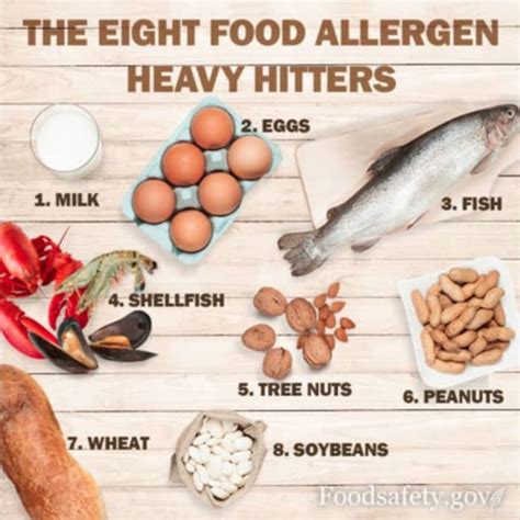 Do You Have One These Are The Eight Major Food Allergies Mount Vernon Daily Voice