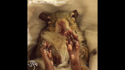 Rescue Squirrel Gets Ready For Bed Youtube