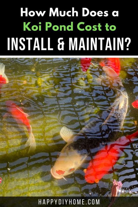 Aug 19, 2019 · a koi pond falls into an average price range of $1,171 to $4,889, with most buyers spending around $3,030. How Much Does a Koi Pond Cost to Install and Maintain ...